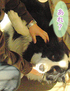 120531_2.jpg