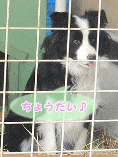 130130_2.jpg