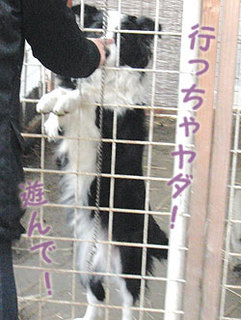 130130_4.jpg