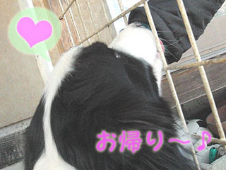 130223_1.jpg