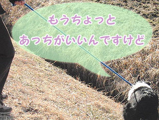 130227_3.jpg