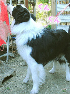 130530_3.jpg