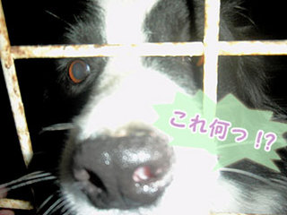 131028_2.jpg